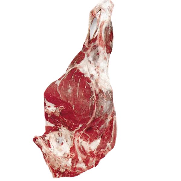 Carne de Ovejo