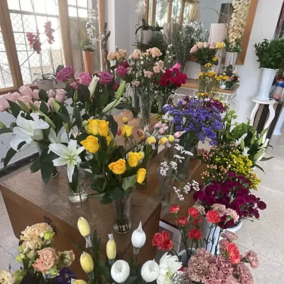 Tipo de flores naturales de la tienda