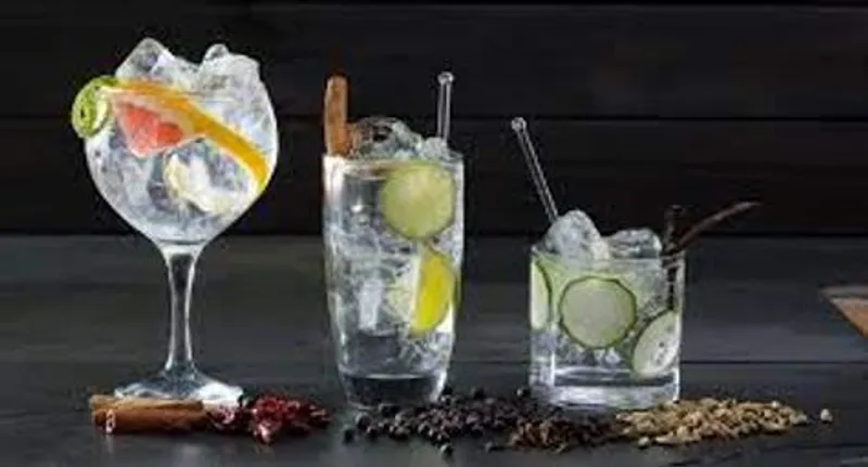 Gin & Tonic