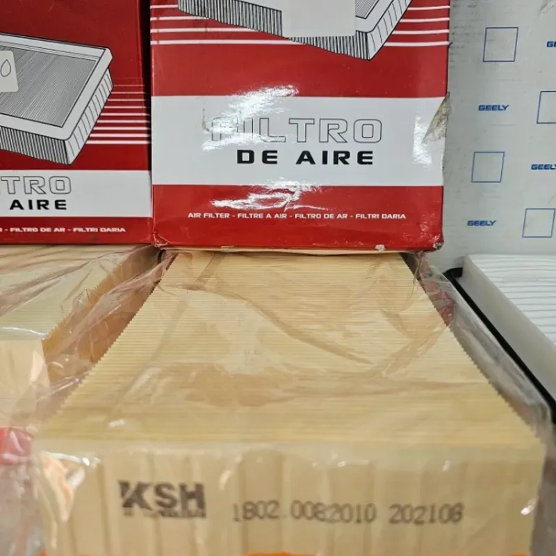 FILTRO DE AIRE 2010. Mejora la circulación de aire