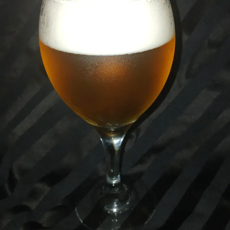 CERVEZA DISPENSADA/DISPENSED BEER