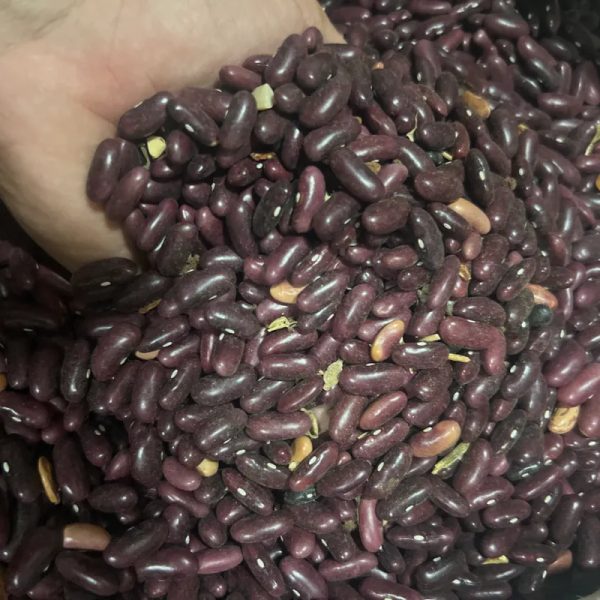 FRIJOLES AGRANEL