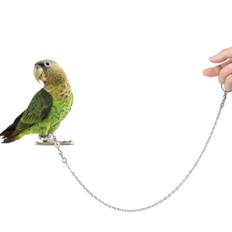 Anillo Arnés para Aves