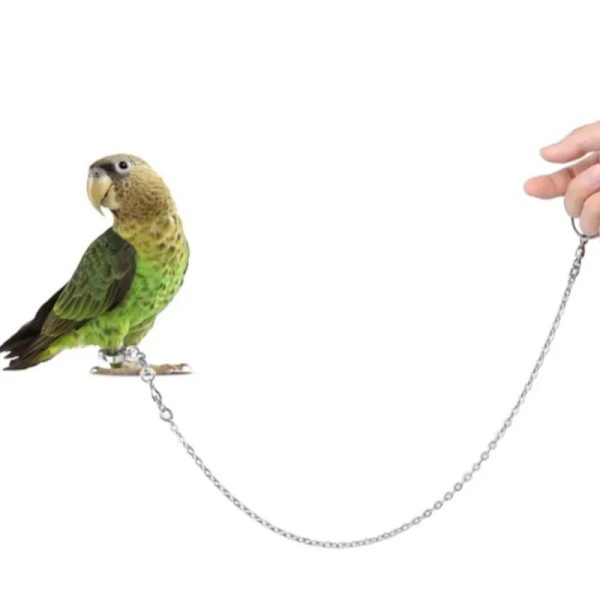 Anillo Arnés para Aves