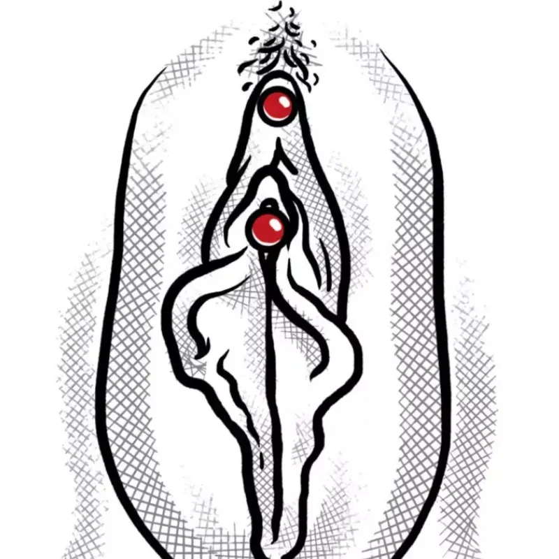 Vertical Hood (clítoris hood vertical)