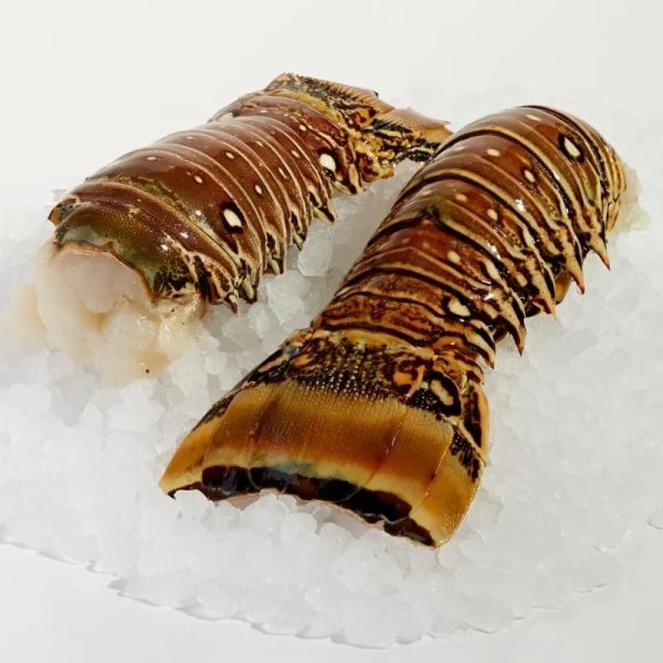 Langosta