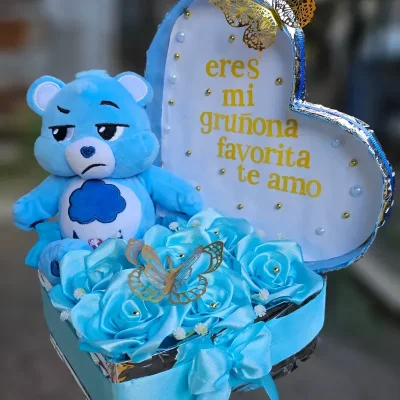 Caja con Osito Gruñon 