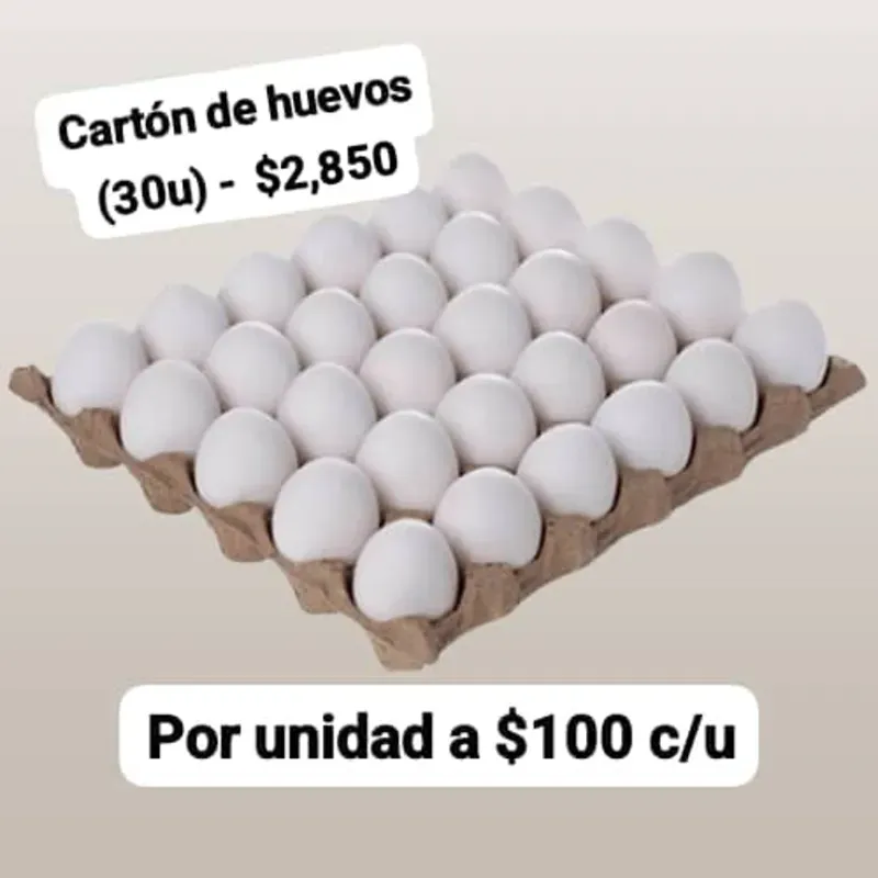 Cartón de Huevos (30u)