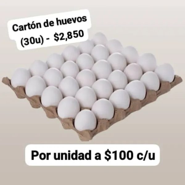 Cartón de Huevos (30u)
