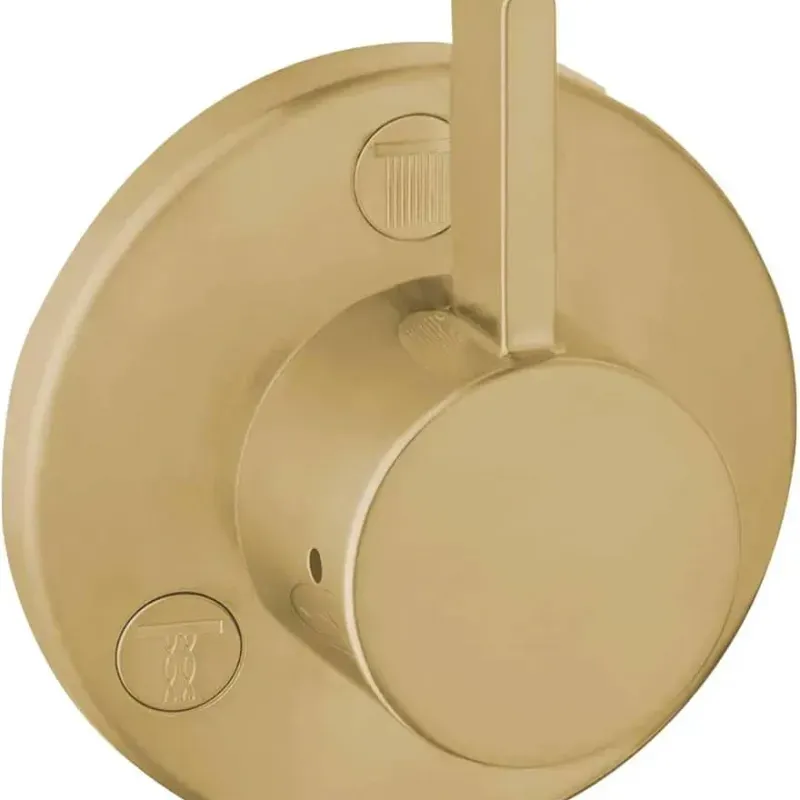 Manija de Ducha 861-608