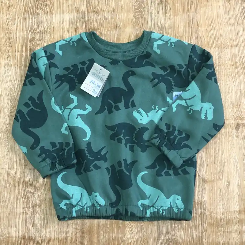 Abrigo con dinosaurios color verde