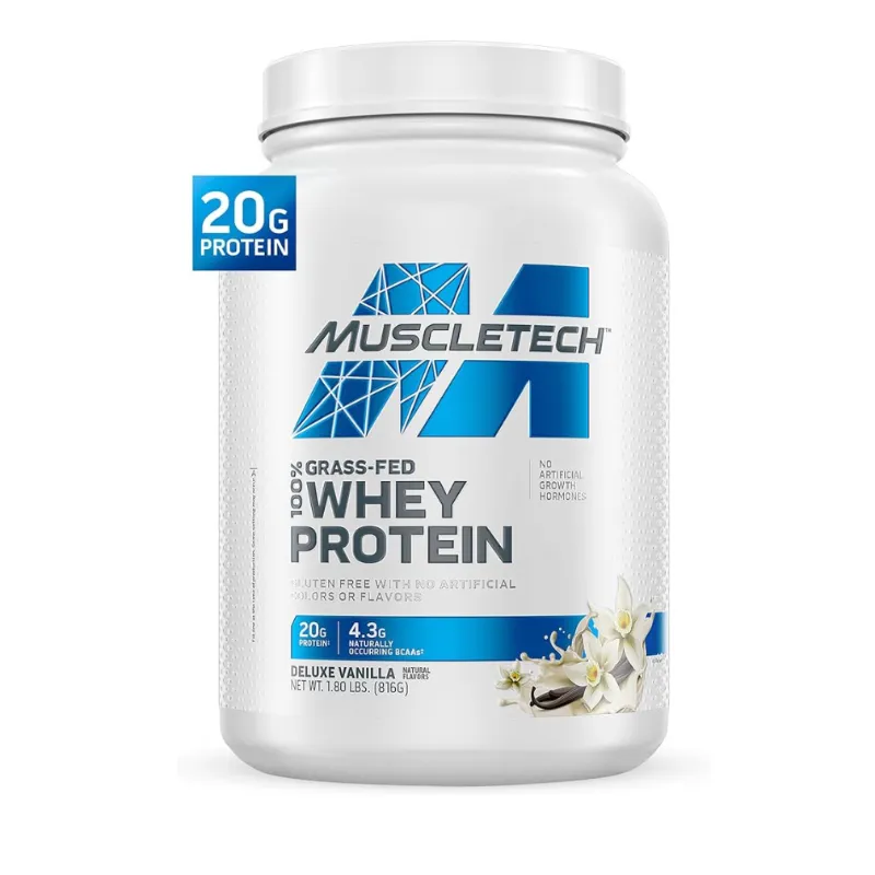 Whey Protein
