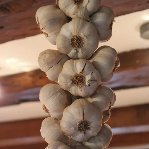 Ristras de Ajo