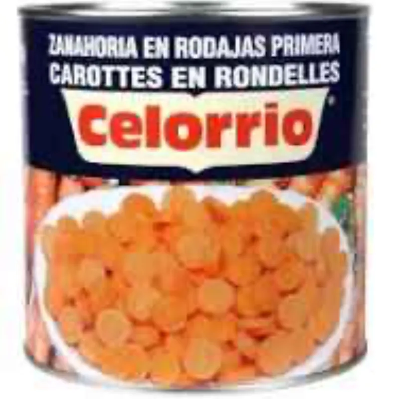 ZANAHORIA EN RODAJAS