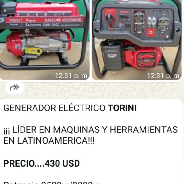 Plantas eléctricas Torini