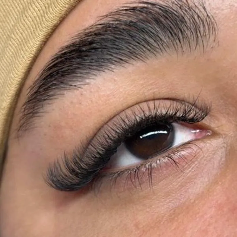 4D.(Fibra Tecnológicas)