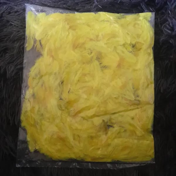 Paquete de plumas AMARILLO POLLO