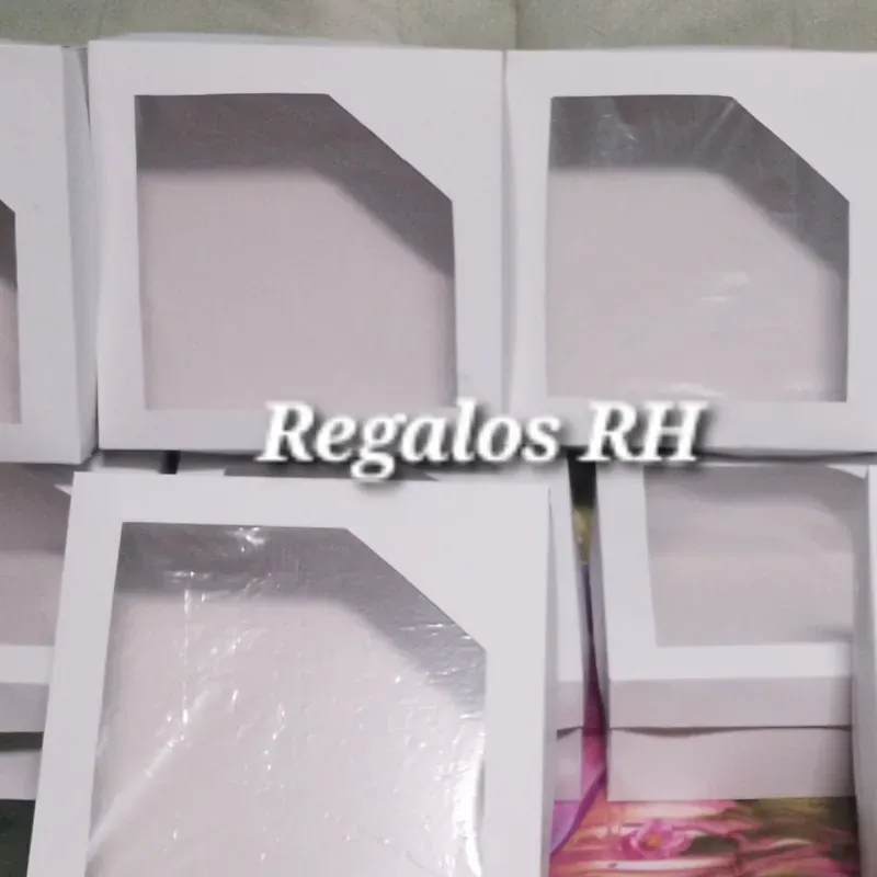 Cajas con tapa transparente 20x20