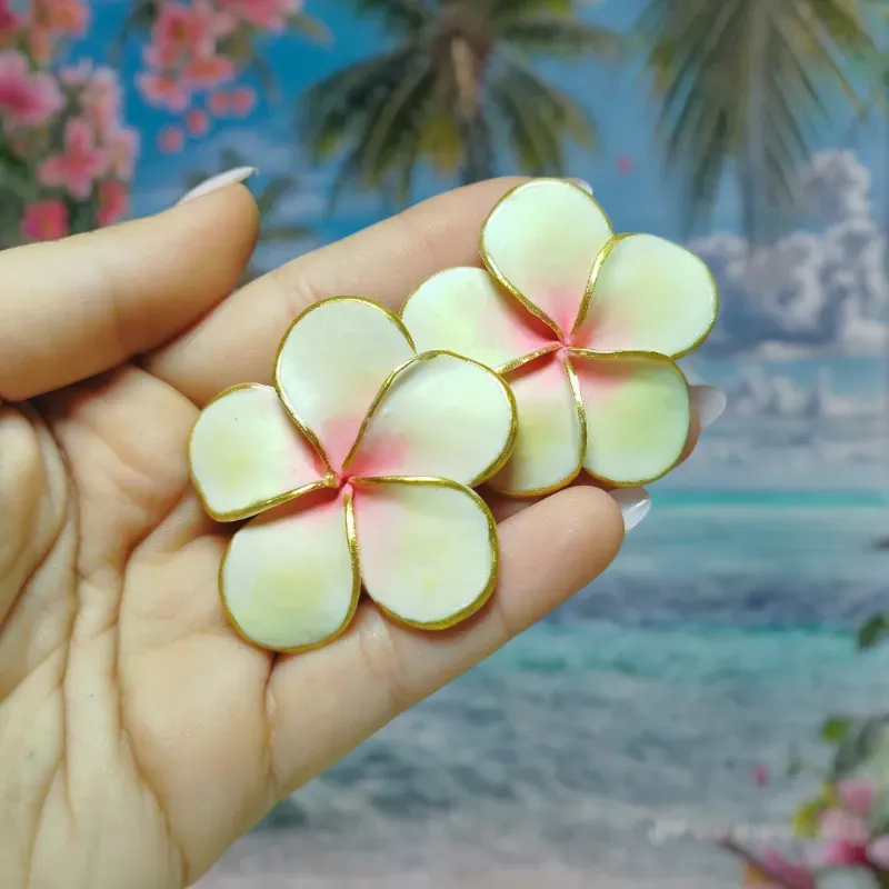 ✨ Aretes de Plumerias Gaviota ✨