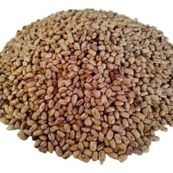 Frijoles bayos