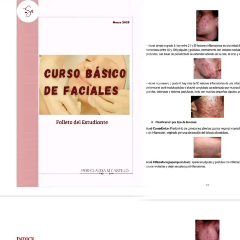 Curso Básico de Facial (folleto)
