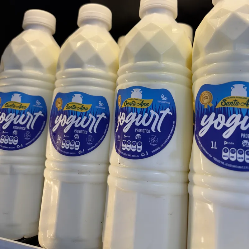 Yogurt Probiótico Natural