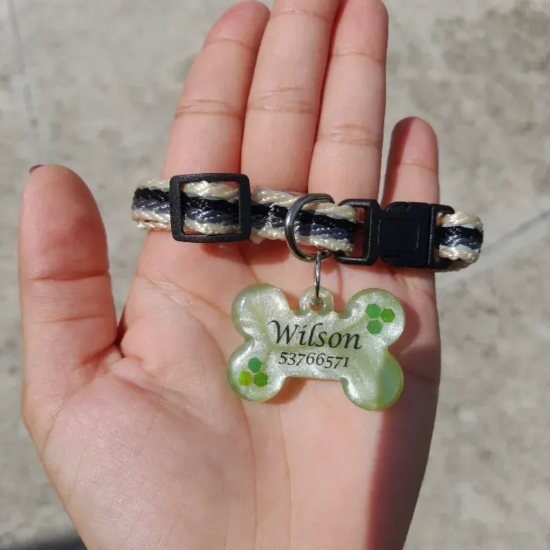 Collar con chapilla para mascotas