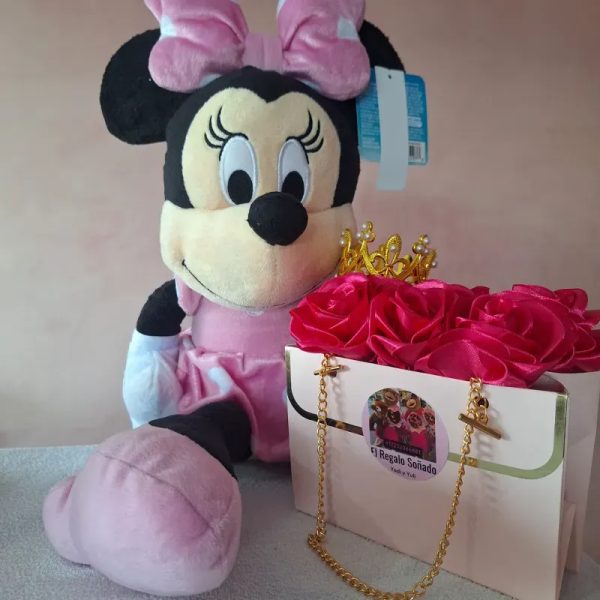 Regalo Disney 