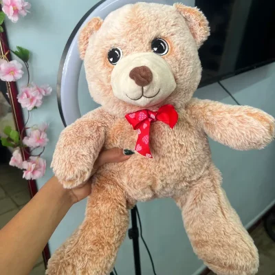Oso peluche