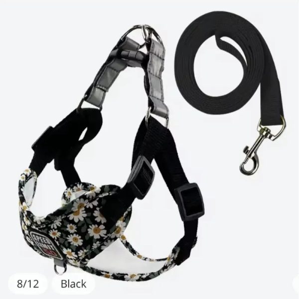 Pechera con correa talla XL
