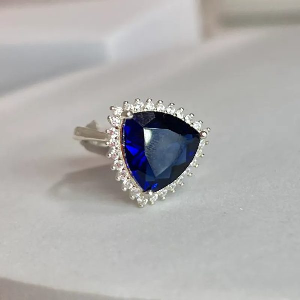 Anillo 2412