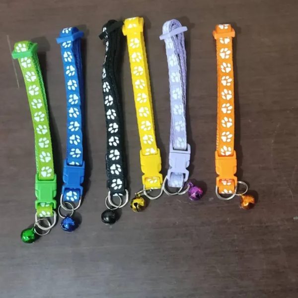 Collar de perro
