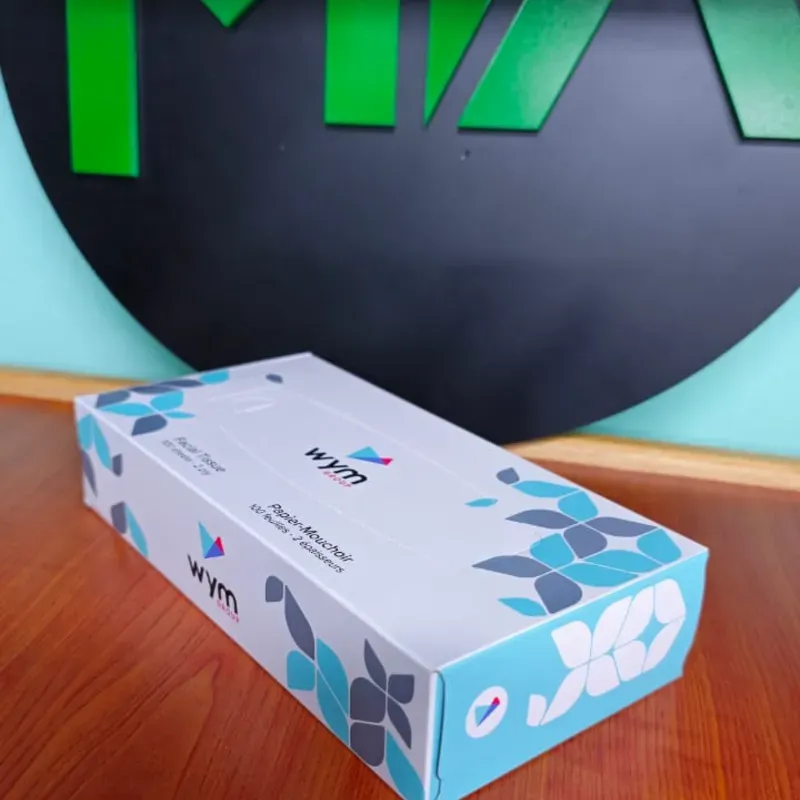 Servilletas Faciales Gym (100u)