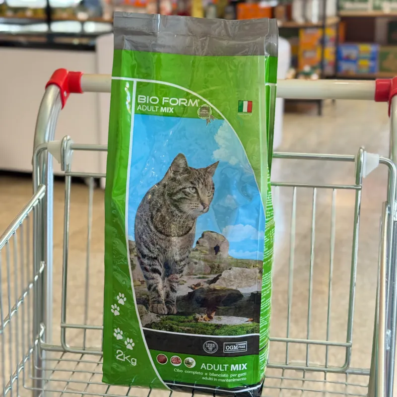 Pienso completo y balanceado para gatos