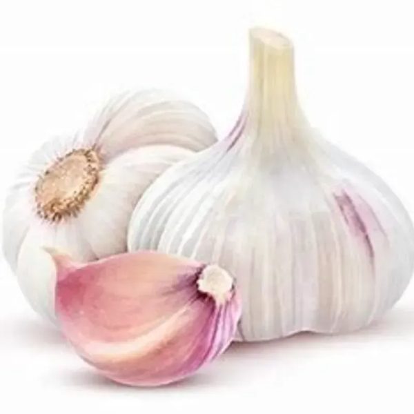 CABEZA DE AJO