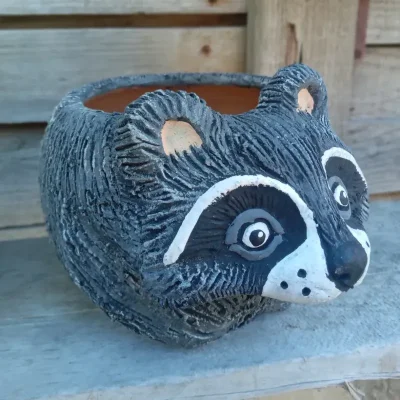 Macetica  mapache