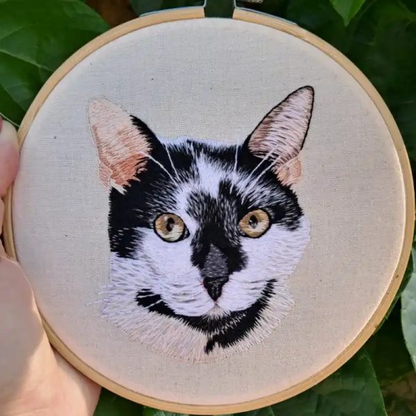El gato de Roxana