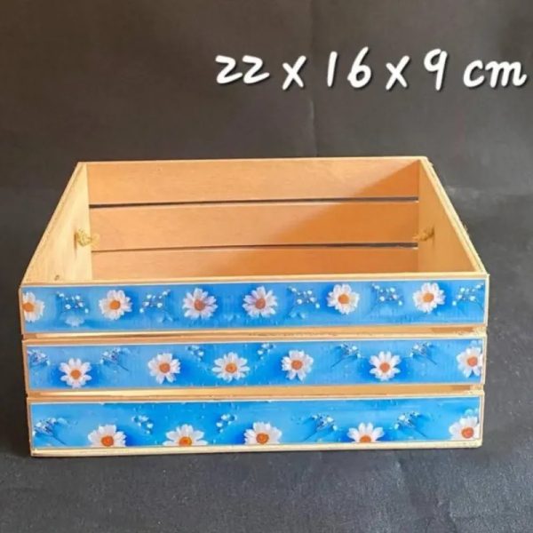 Caja Organizadora 1