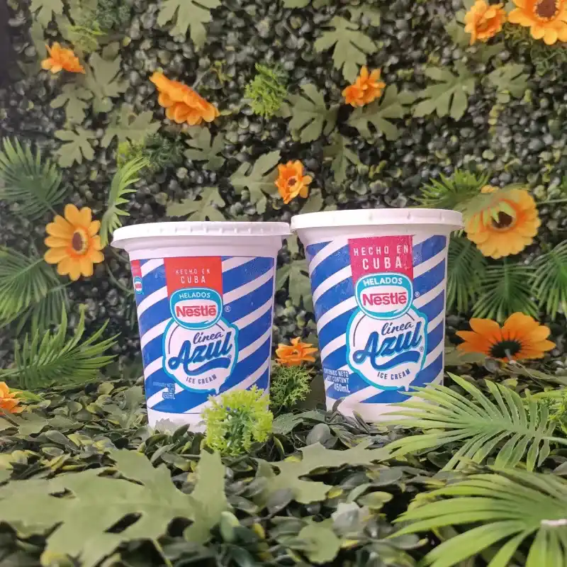 Pote de Helado Nestlé