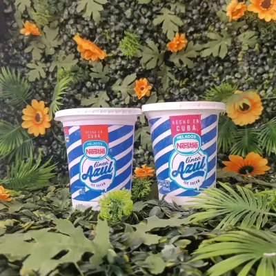 Pote de Helado Nestlé