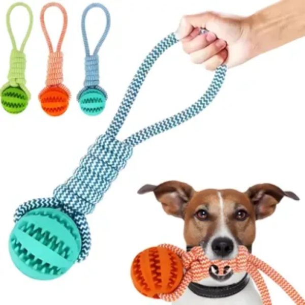 Sogas con Pelota Gomas