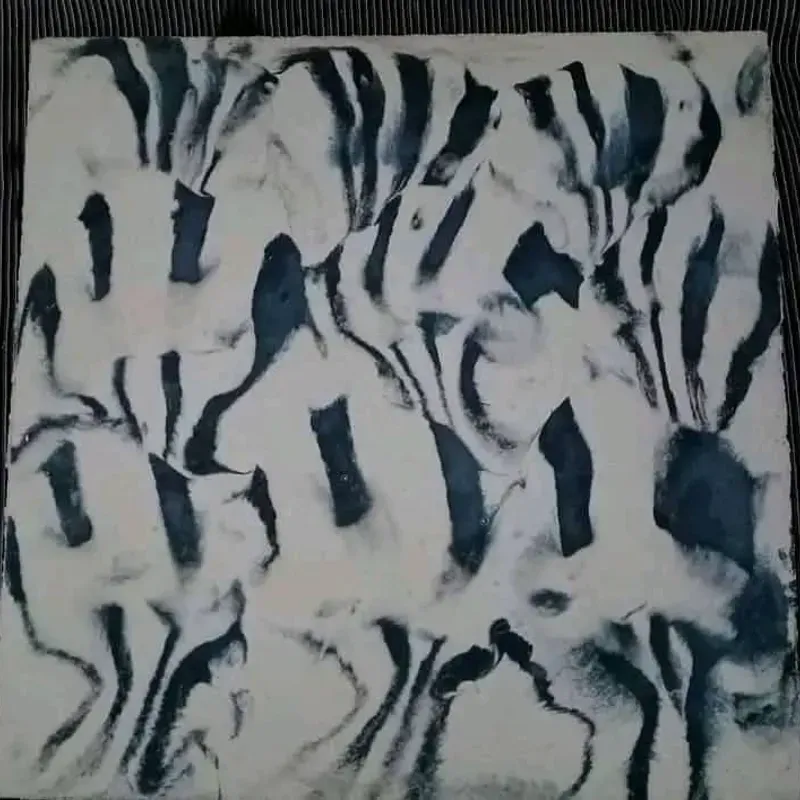 revuelto negro fondo blanco