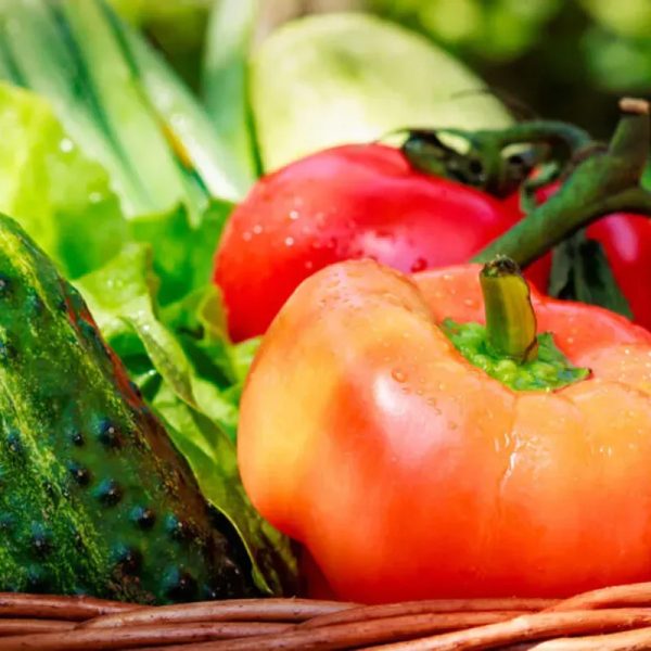 Vegetales