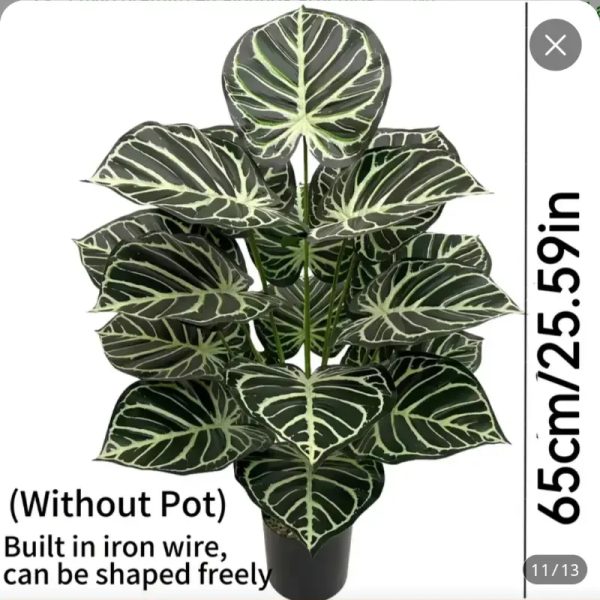 Árbol de Monstera