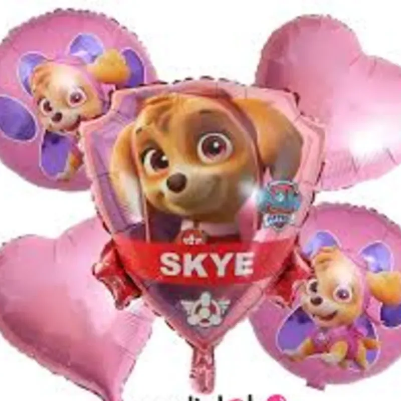 Set de Sky ( paw patrol)