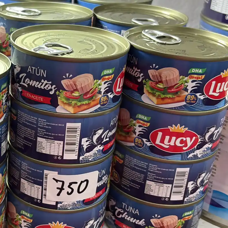 LOMO DE ATUN EN AGUA