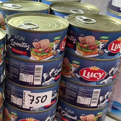 LOMO DE ATUN EN AGUA