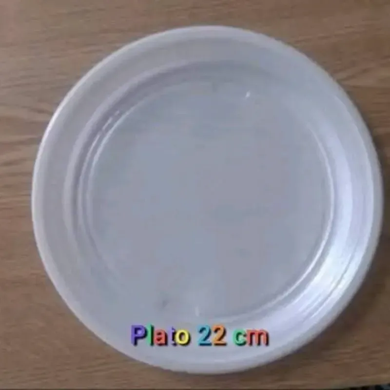 Plato de 22cm