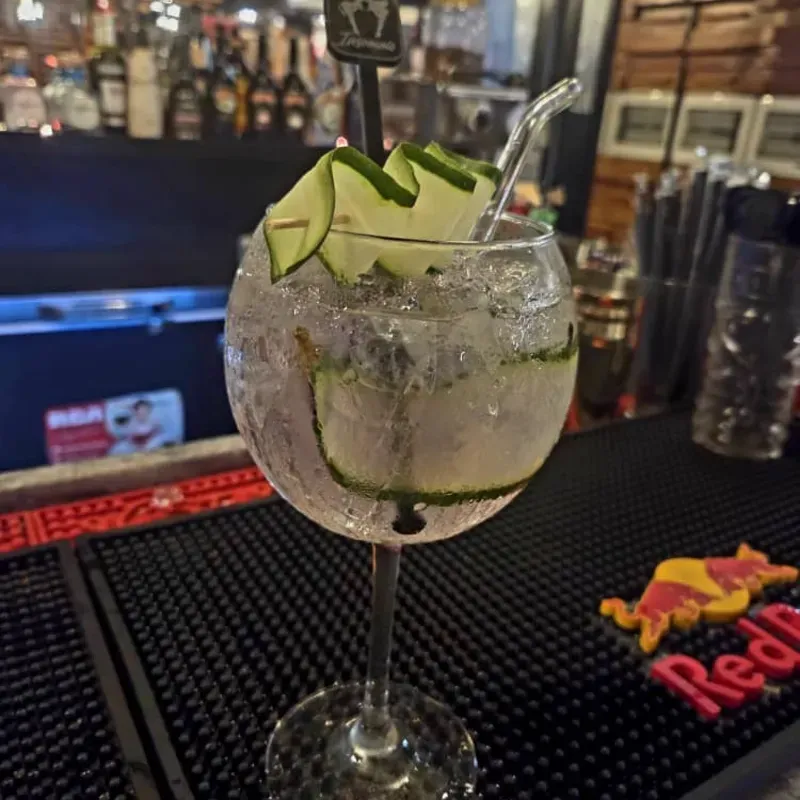 Preparación Gin Tonic