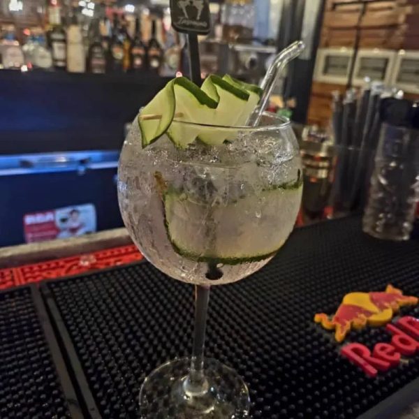 Preparación Gin Tonic